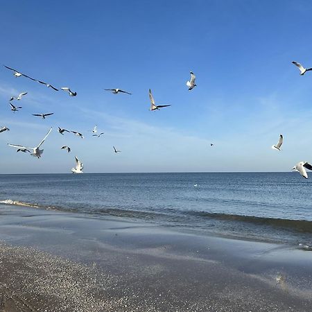 Pension Wald Und See Heringsdorf  Kültér fotó